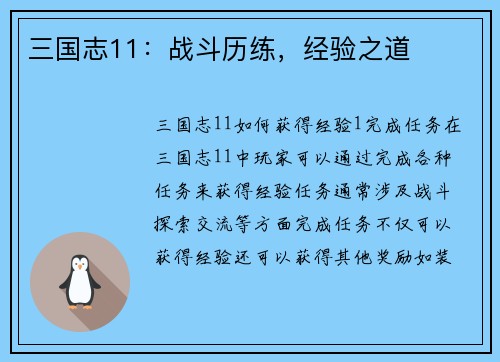 三国志11：战斗历练，经验之道