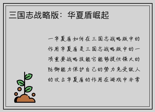三国志战略版：华夏盾崛起